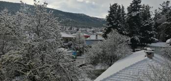 HALİL ATALAN